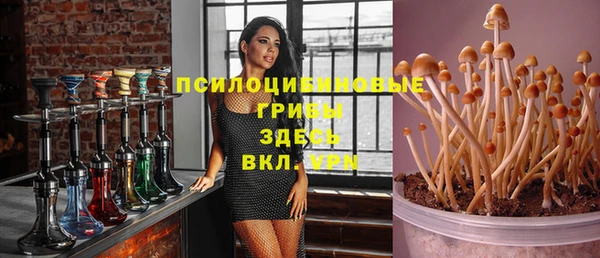 прущая мука Вязники