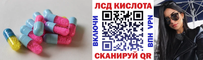 дарнет шоп  Зерноград  Лсд 25 экстази ecstasy 