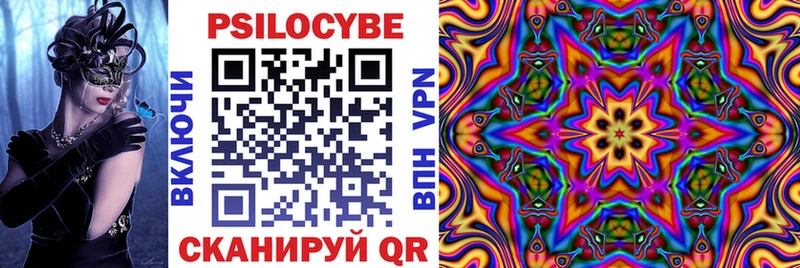 Галлюциногенные грибы Psilocybine cubensis Зерноград